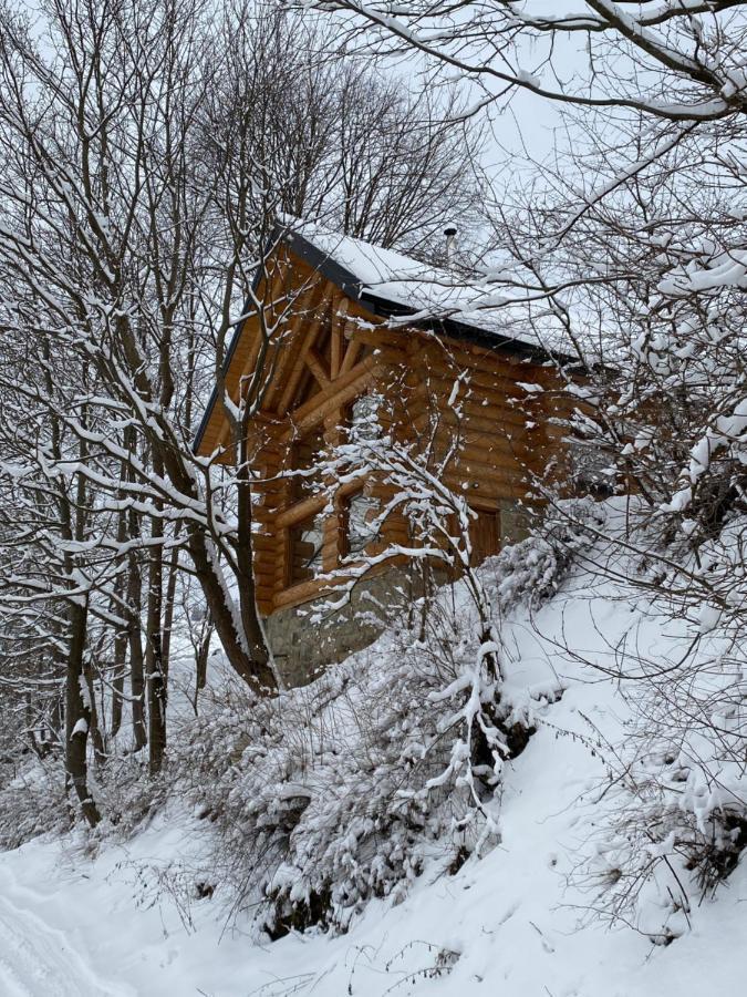 Chalet Pidstromom Βίλα Mykulychyn Εξωτερικό φωτογραφία